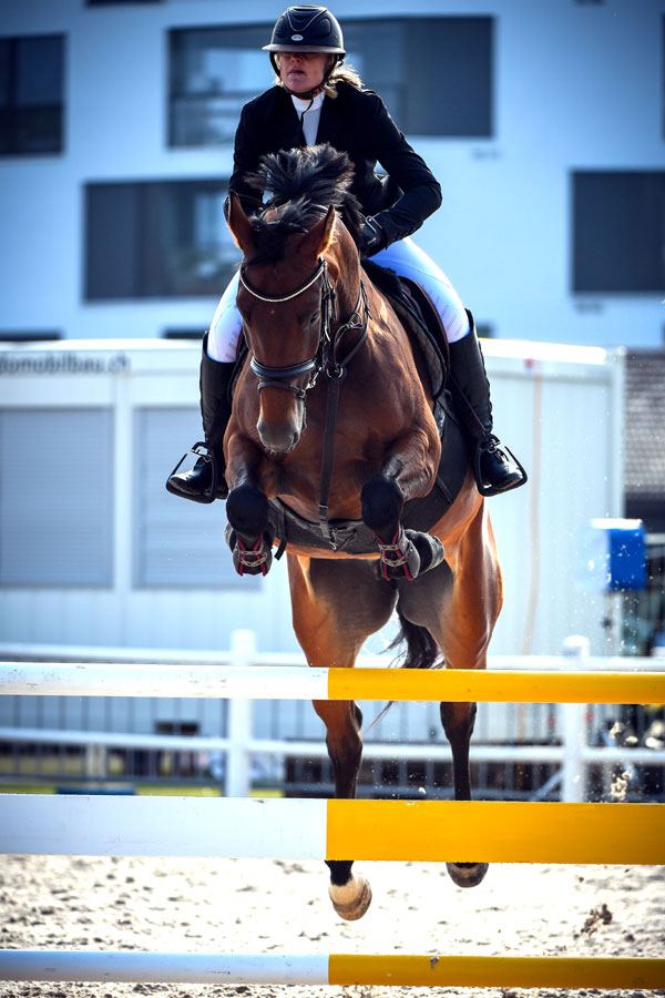 Rider on a bay horse clearing a jump, seen from the front