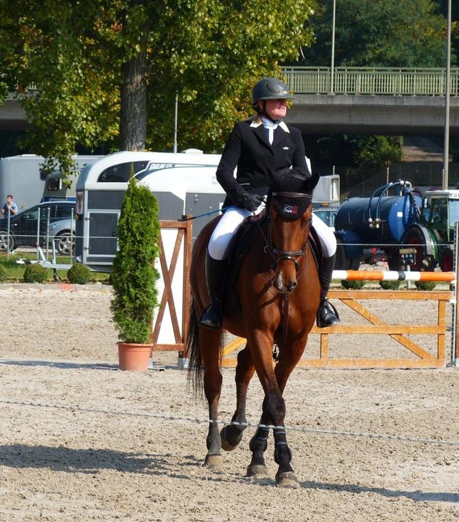 Rider on a bay horse in motion in the arena