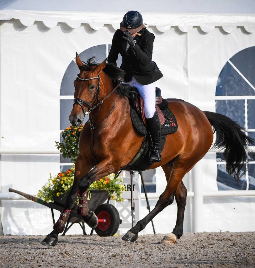 Rider on a bay horse jumping a white obstacle